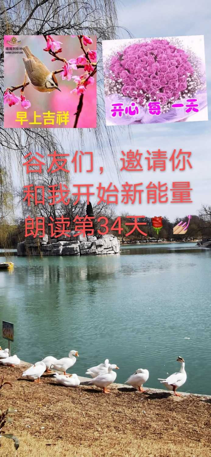 mmexport1614818292788.jpg