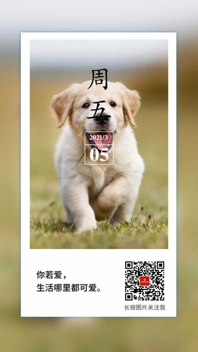 mmexportb5fb73f7e1a152358e566ad437d49cae.jpeg