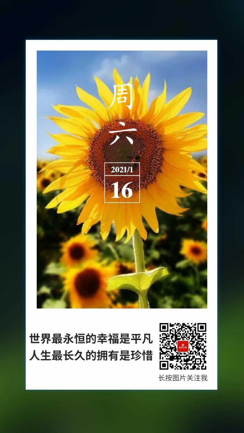 mmexport1610751776526.jpg