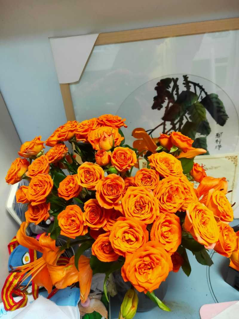 IMG20210429225651.jpg