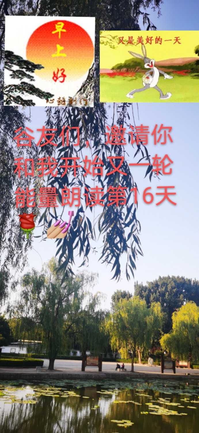 mmexport1623417119208.jpg