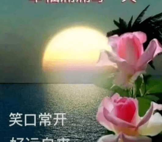 -3de885984b368ae52c98494bf6b2d335.png
