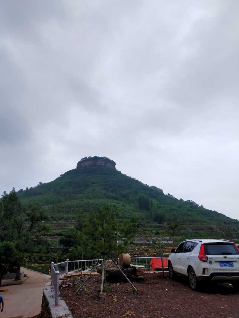 IMG20210616114216.jpg