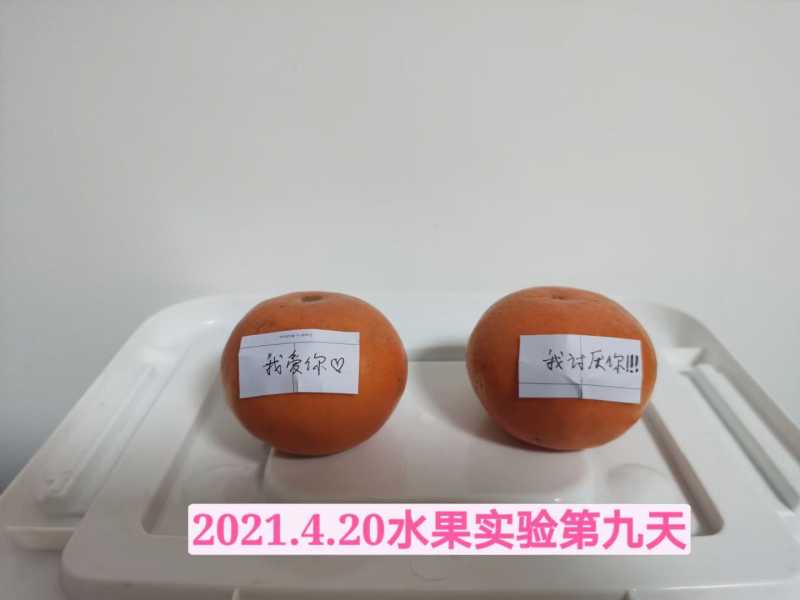mmexport1620888575344.jpg