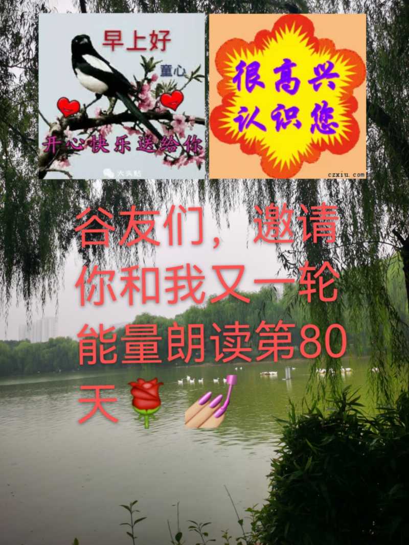 mmexport1629769795961.jpg