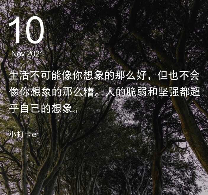 mmexport1636616812769.jpg
