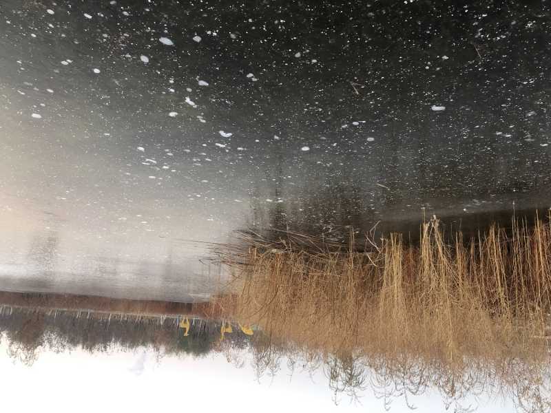 F01830C5-9F33-42A2-BDD5-34D9294EFDE7.jpeg