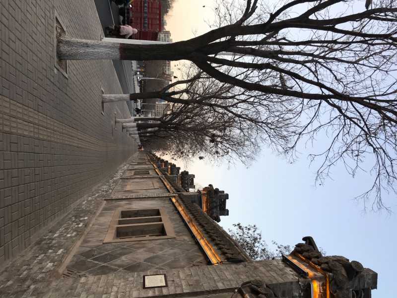 1C671365-C9EE-4E7E-89D0-C3F18D580E39.jpeg