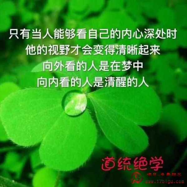 mmexport9e03eda41fad7e11b55db44f96c78d40_1678767630601.jpeg